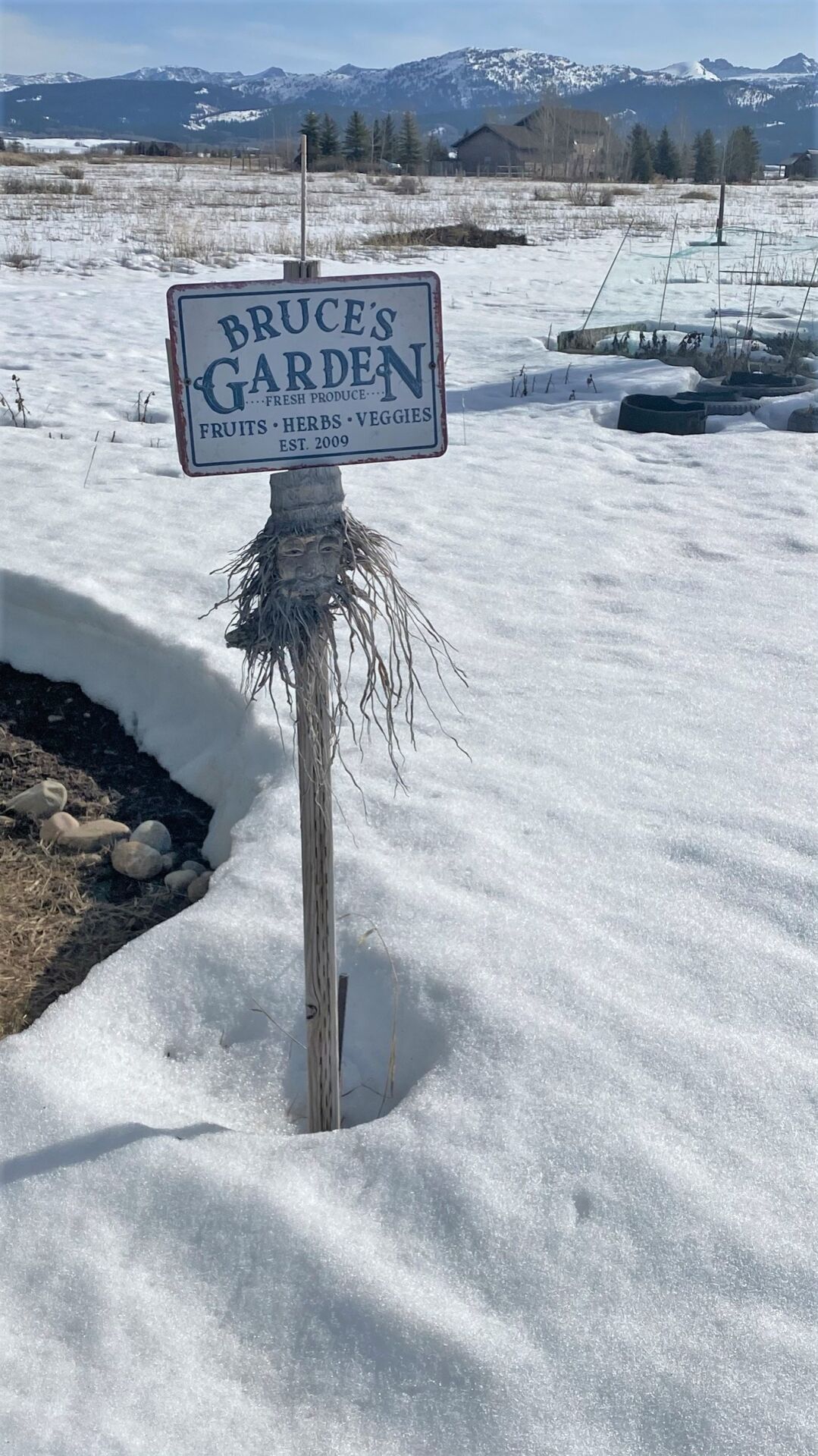 Snowy Garden